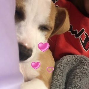 Meet your Posher, Samantha